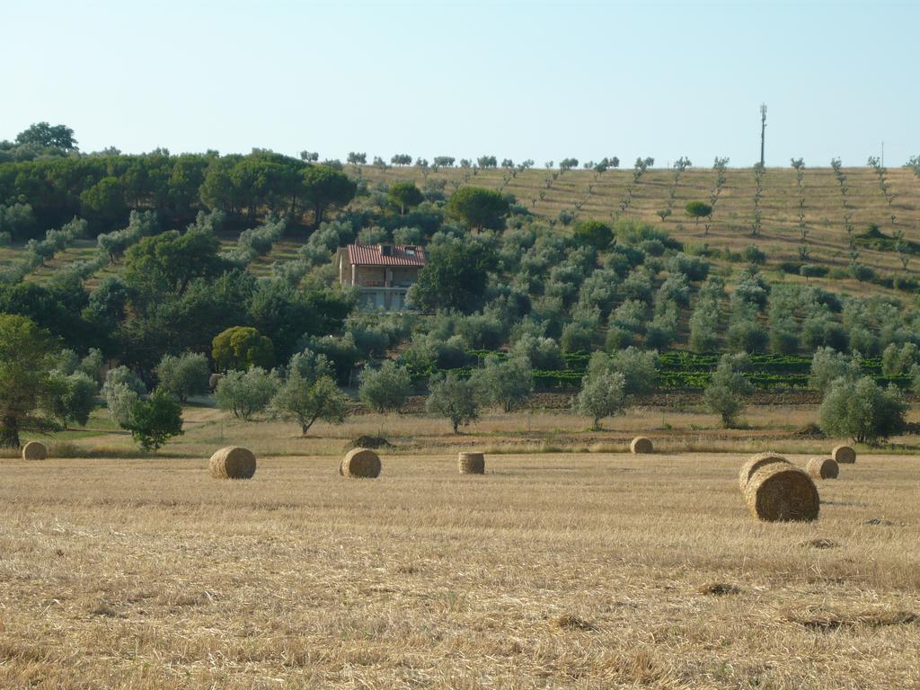 Agriturismo San Lino-Gilberto Massa Marittima Exterior photo