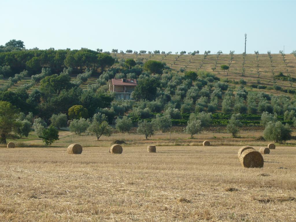 Agriturismo San Lino-Gilberto Villa Massa Marittima Exterior photo